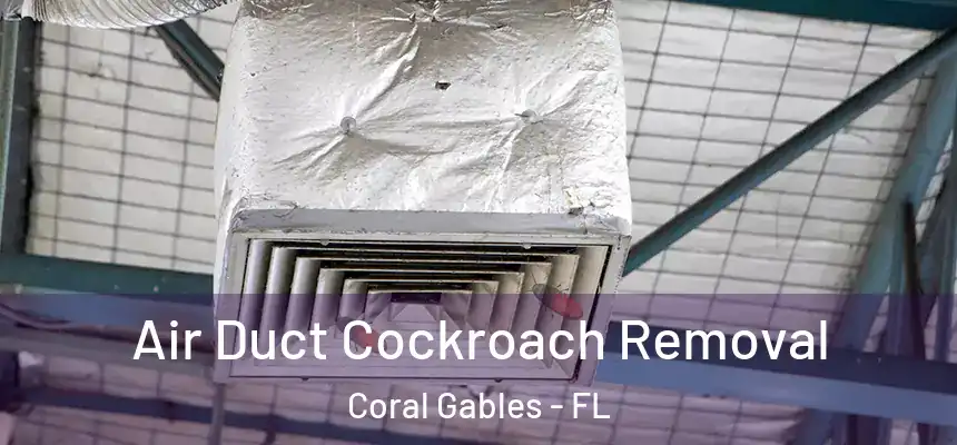 Air Duct Cockroach Removal Coral Gables - FL