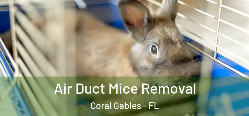 Air Duct Mice Removal Coral Gables - FL