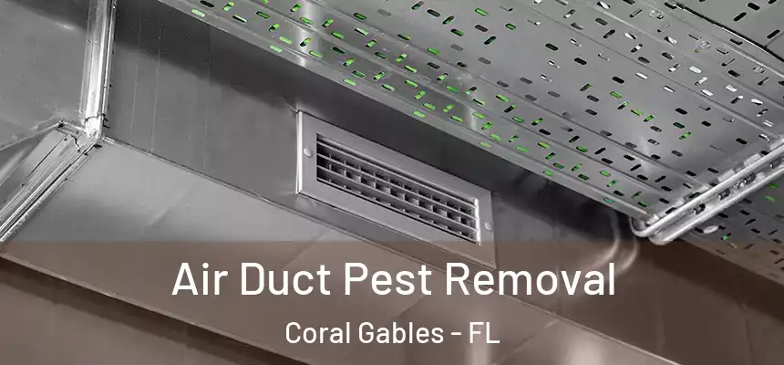  Air Duct Pest Removal Coral Gables - FL