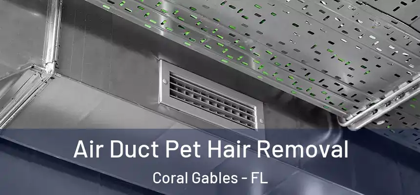  Air Duct Pet Hair Removal Coral Gables - FL