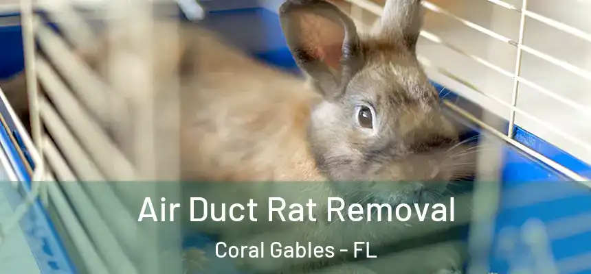Air Duct Rat Removal Coral Gables - FL
