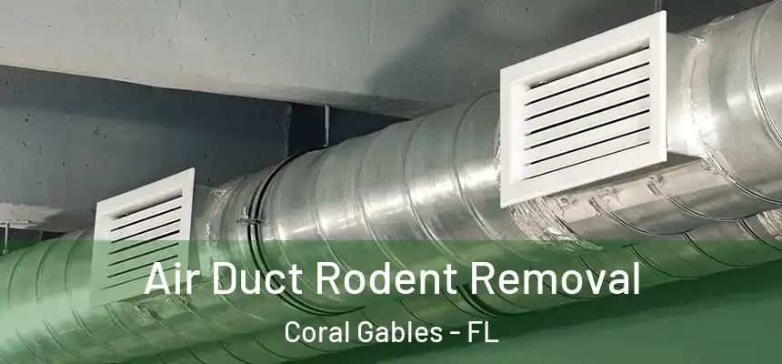 Air Duct Rodent Removal Coral Gables - FL