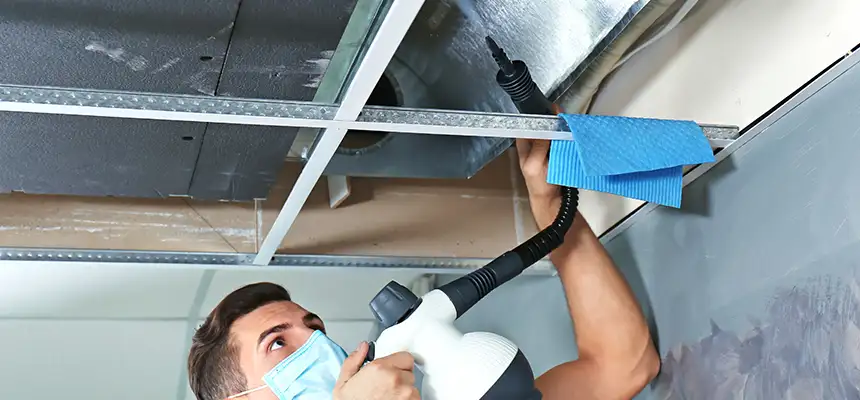 Our Air Duct Rodent Removal Services in Coral Gables, FL