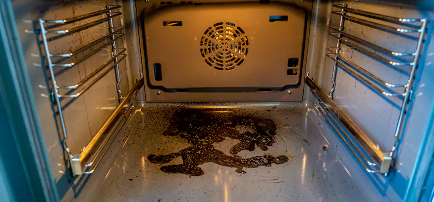 Our Dryer Vent Mold Cleaning Services in Coral Gables, FL