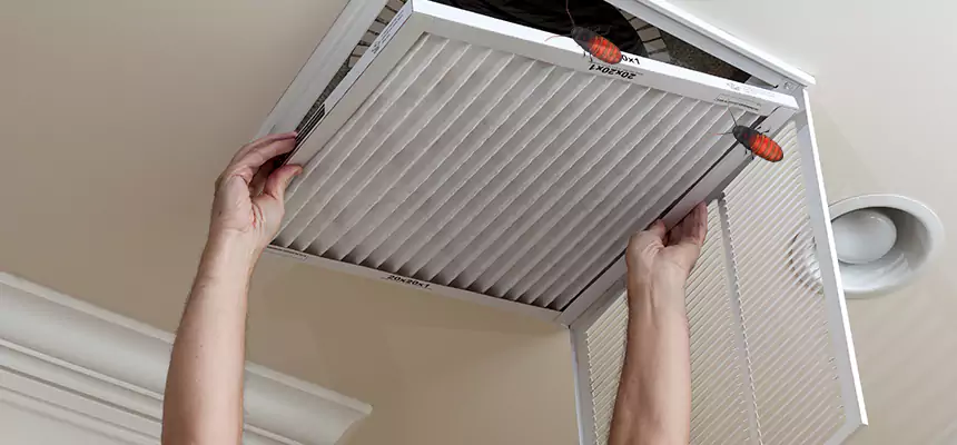 Our Insect Removal from Air Ducts Services in Coral Gables, FL