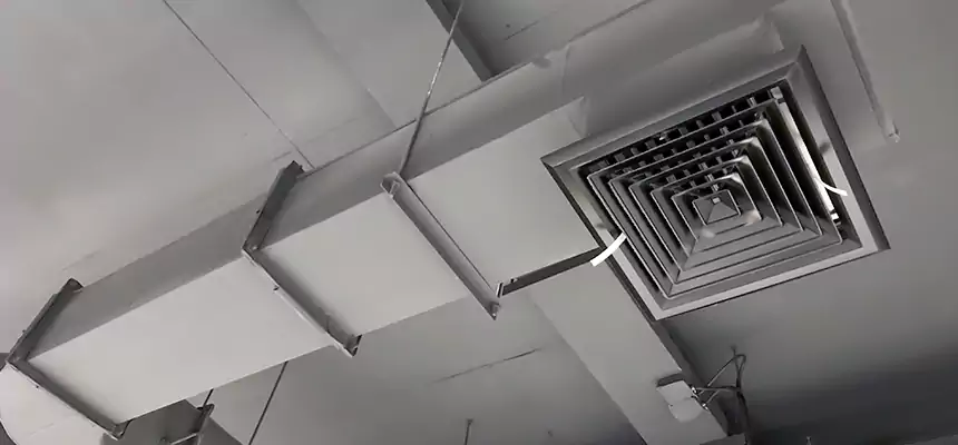 Our Pest Removal From Ducts Services in Coral Gables, FL