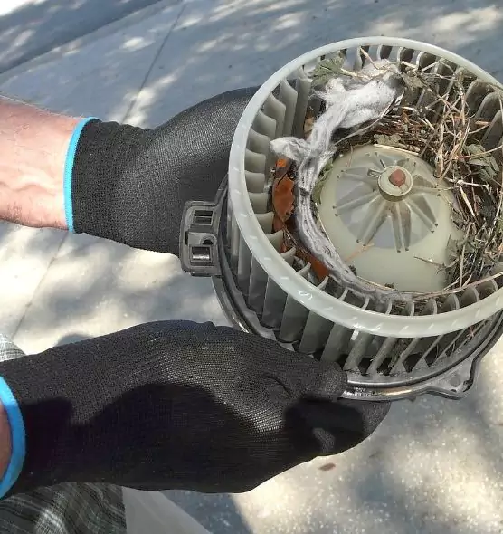 About Air Duct Rat Removal in Coral Gables, FL