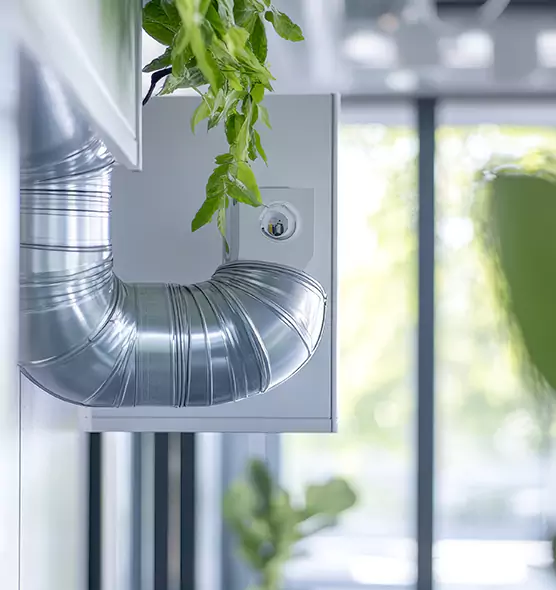 Professional Eco-Safe Dryer Vent Cleaning in Coral Gables, FL