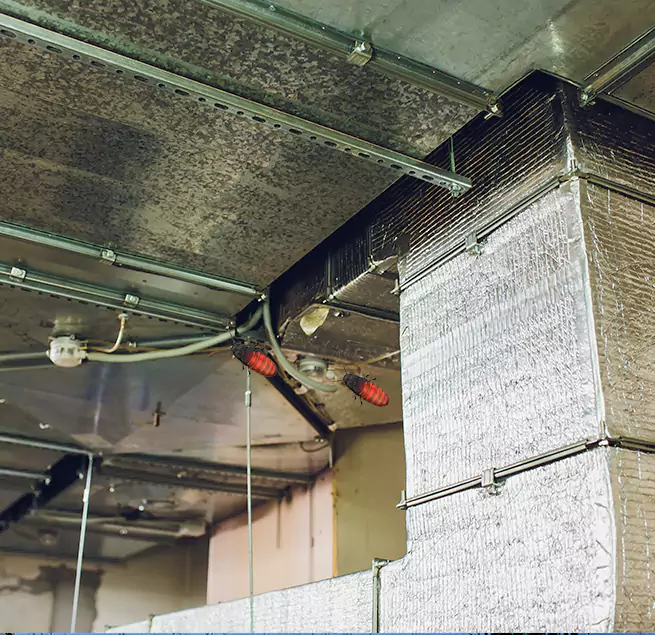 Why Homeowners & Businesses Trust Us in Coral Gables, FL?