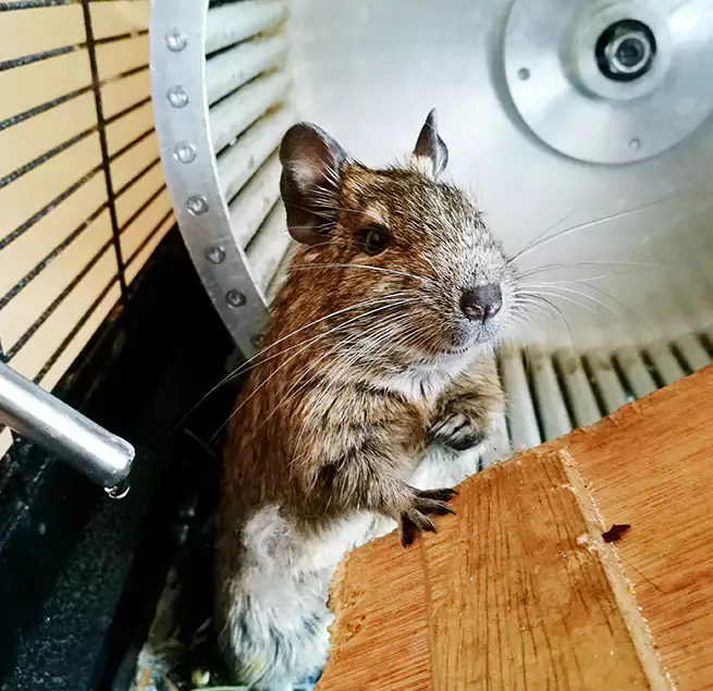 Why Homeowners & Businesses Trust Us Coral Gables, FL