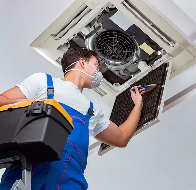 Why Homeowners & Businesses Trust Us in Coral Gables, FL