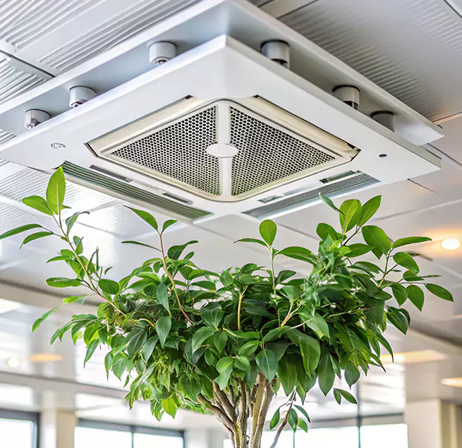 Why Homeowners & Businesses Trust Us in Coral Gables, FL