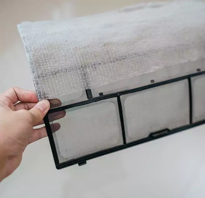 Why Homeowners & Businesses Trust Us in Coral Gables, FL?