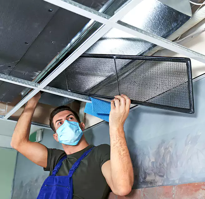 Why Homeowners Businesses Trust Us in Coral Gables, FL